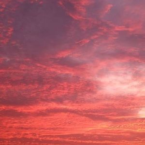 Meet your Posher, Benjamin